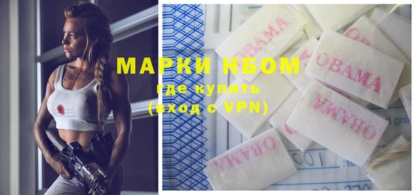 бошки Бронницы