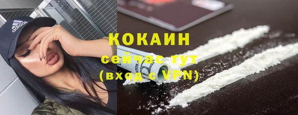 индика Богданович