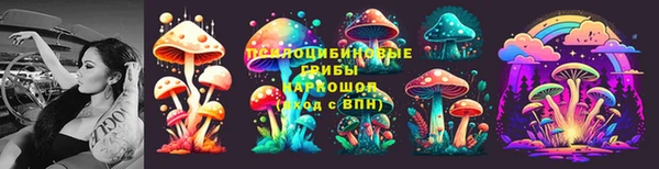 меф Богородицк