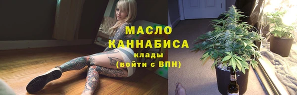индика Богданович