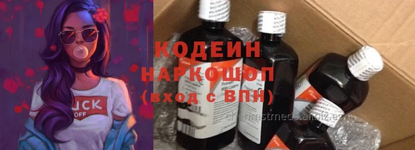 индика Богданович