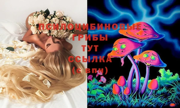 дурь Новозыбков