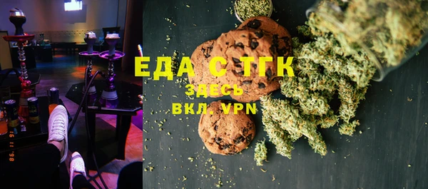 индика Богданович