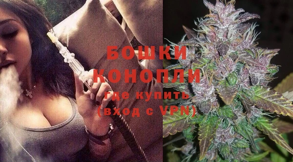 индика Богданович