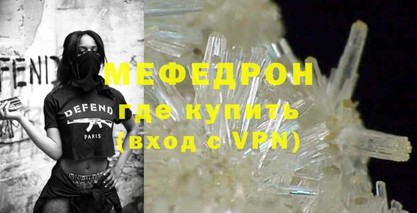 индика Богданович