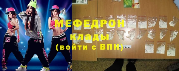 индика Богданович