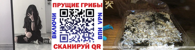 Галлюциногенные грибы мицелий  дарнет шоп  Болотное 